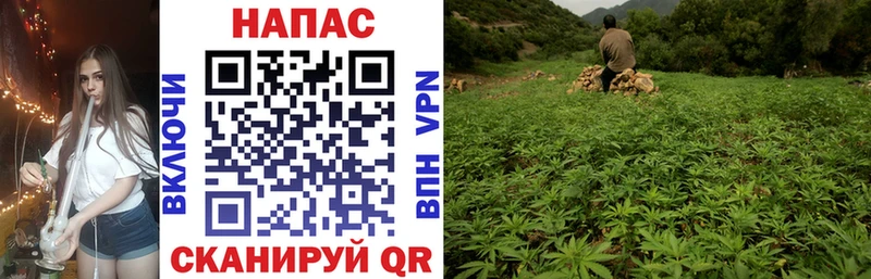 Шишки марихуана OG Kush  Купить  Карабаш 